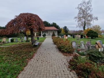 Anstehende Holzarbeiten Friedhof Worben